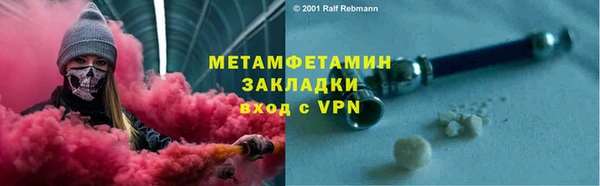 прущие грибы Покров