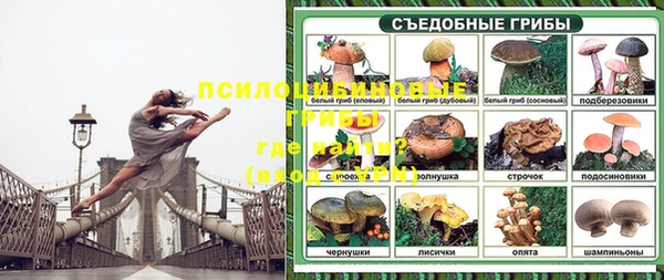 сатива Армянск