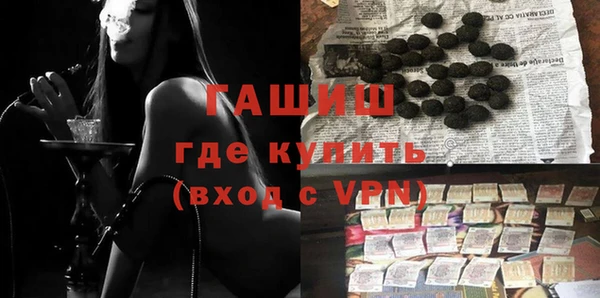 сатива Армянск